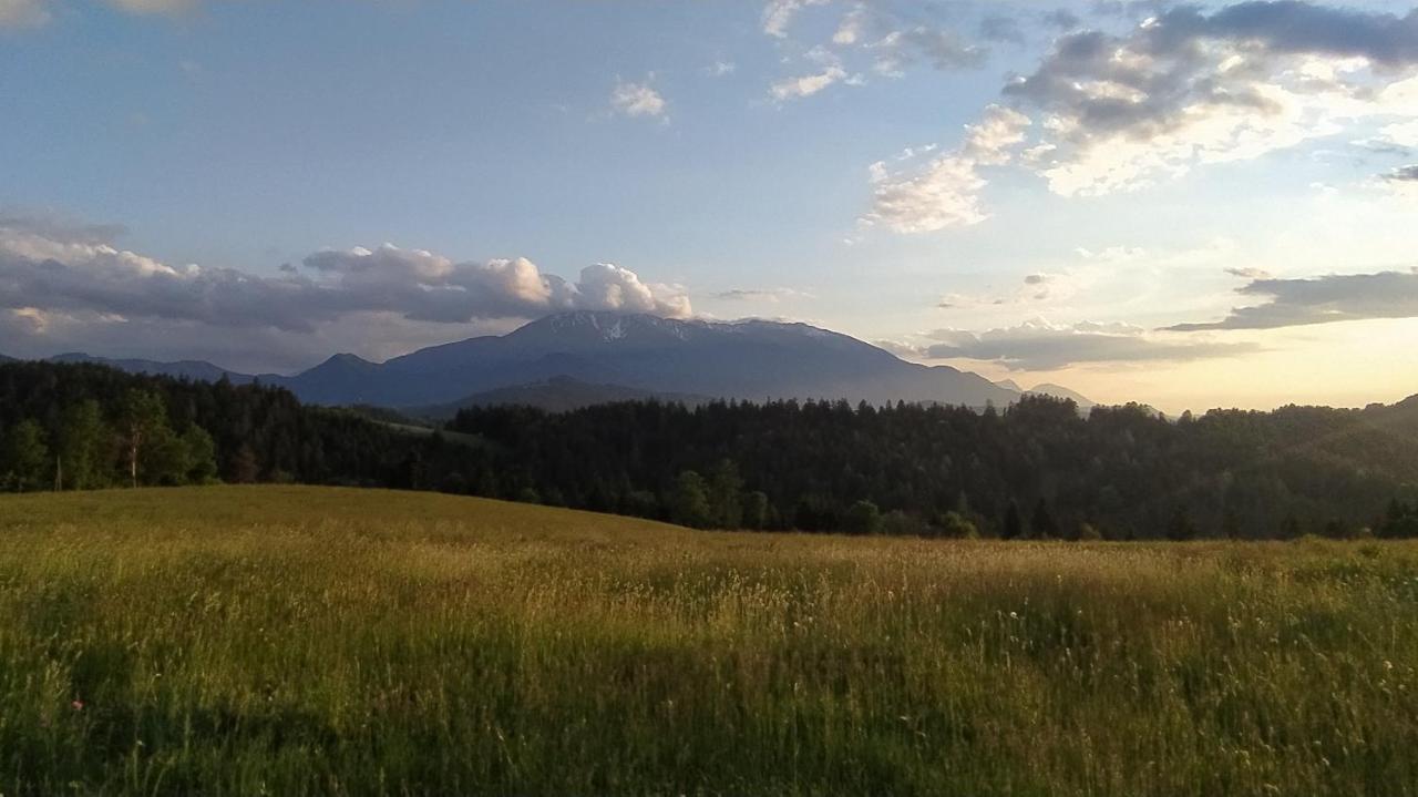 Kmetija Pecnik Apartment Prevalje Bagian luar foto