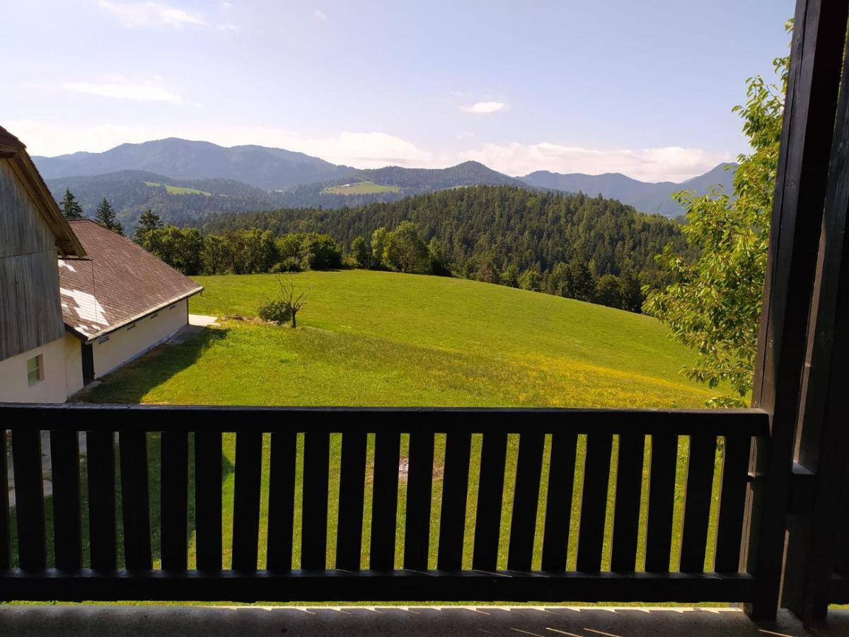 Kmetija Pecnik Apartment Prevalje Bagian luar foto