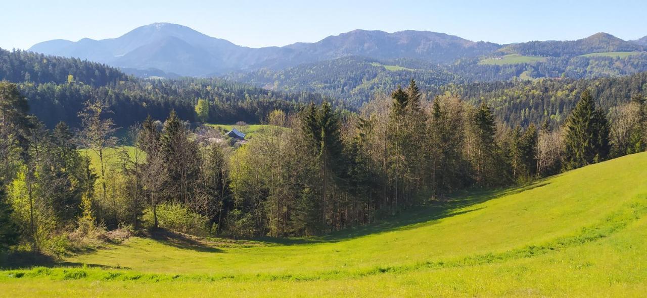 Kmetija Pecnik Apartment Prevalje Bagian luar foto