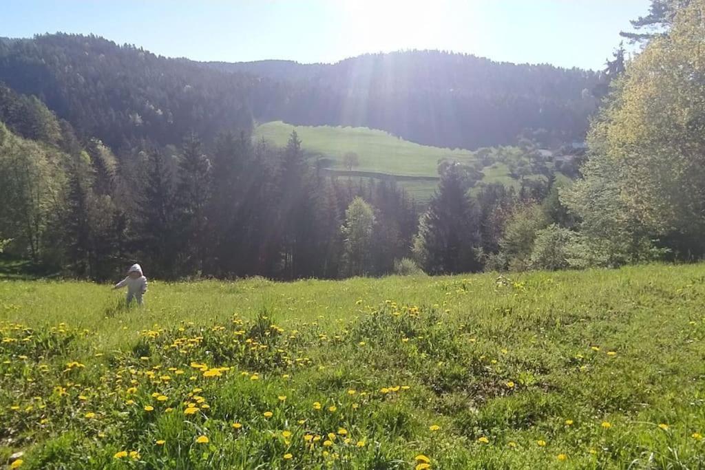 Kmetija Pecnik Apartment Prevalje Bagian luar foto