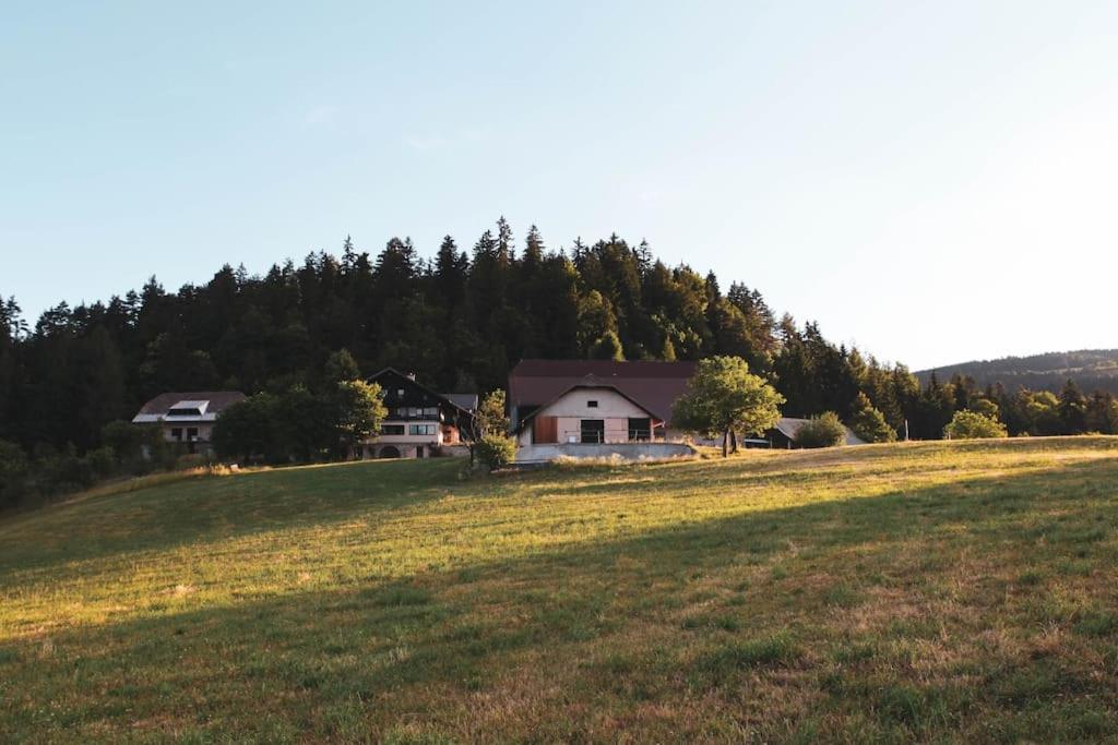 Kmetija Pecnik Apartment Prevalje Bagian luar foto