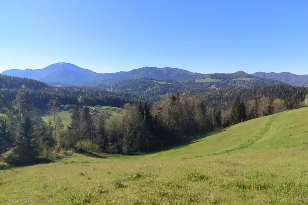 Kmetija Pecnik Apartment Prevalje Bagian luar foto